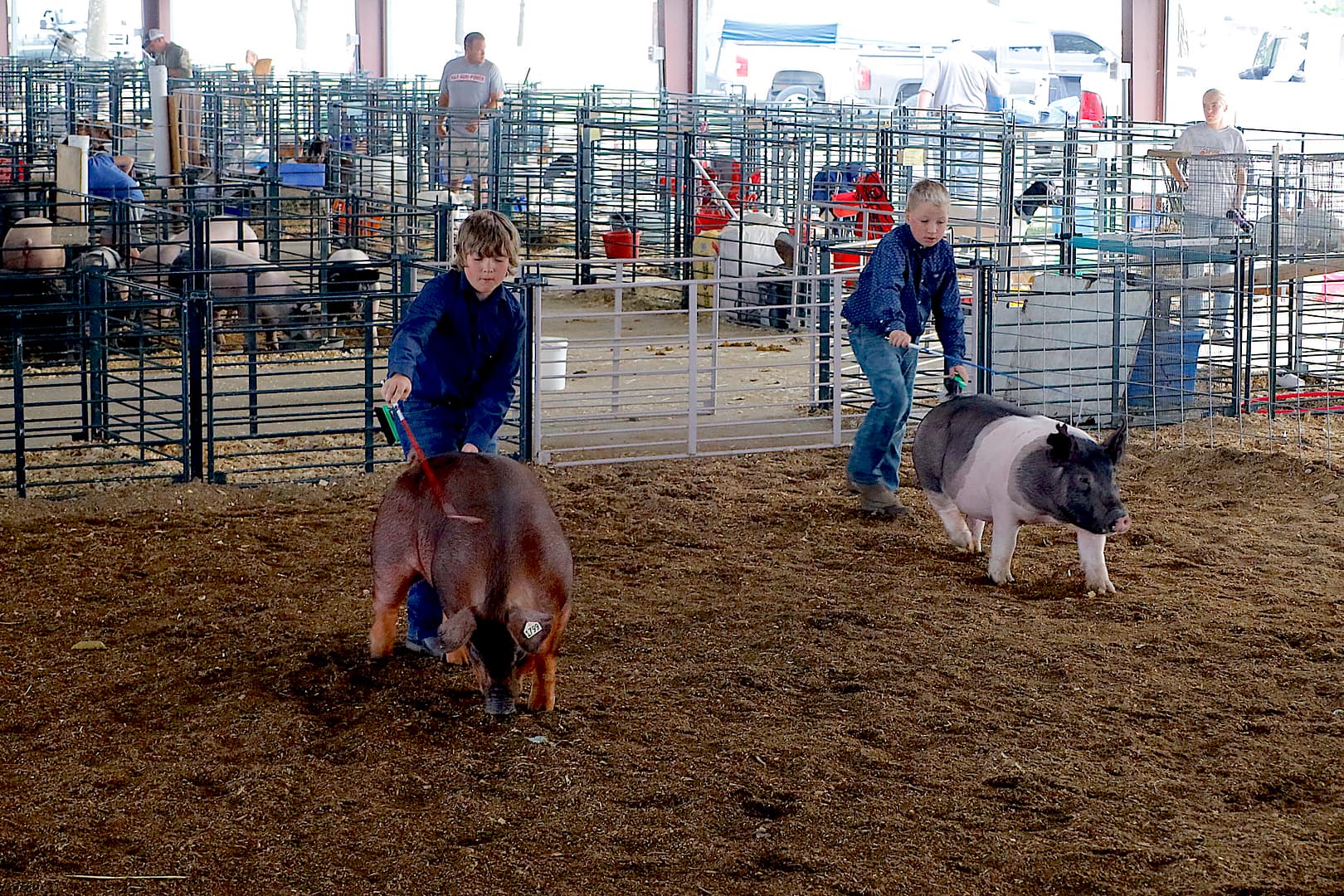 2023 Jasper County Fair 4 H Master Showmanship Results And Photo Gallery Jasper County Daily News